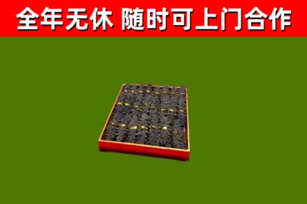 麻江回收海参